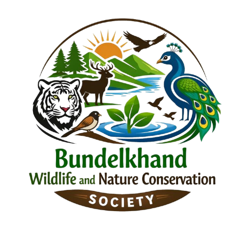 Bundelkhand Wildlife Logo